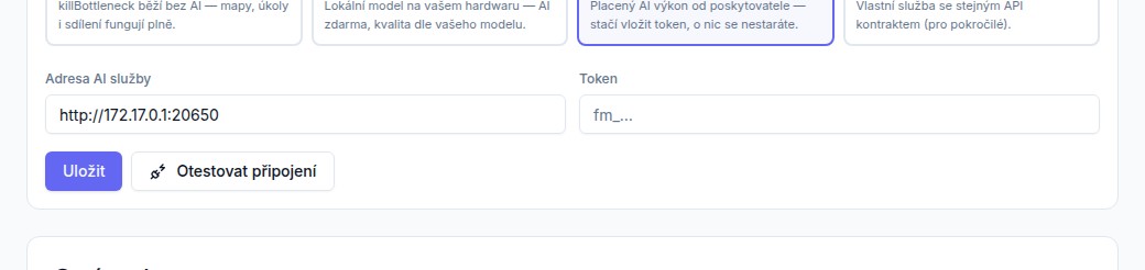 Sekce Výchozí vzhled instance s výběrem skinu a tlačítkem Uložit vzhled