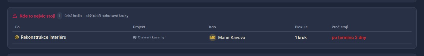 Sekce Kde to nejvíc stojí na stránce Organizace: tabulka Co, Projekt, Kdo, Blokuje, Proč stojí