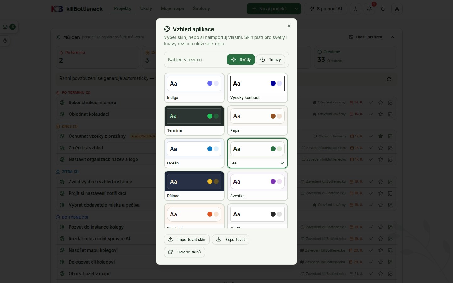 Dialog Vzhled: mřížka náhledů vestavěných skinů, dole tlačítka Importovat skin, Exportovat a Galerie skinů